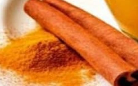 “Liquid Gold” Tea: The Ancient Elixir Modern Science Can’t Ignore