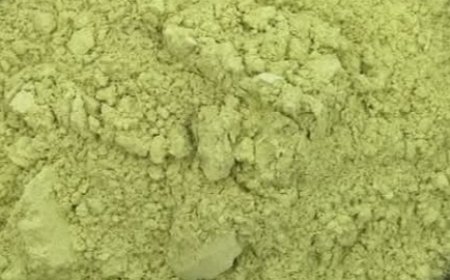 Discover the Leaf That Can Transform Your Health!