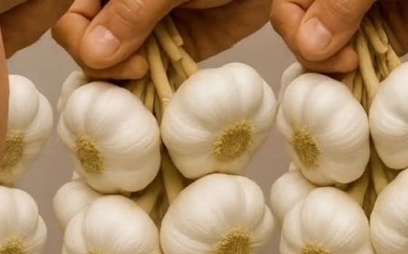 Garlic: A Natural Remedy for Fungal Infections of the Scalp, Hands, Nails, and Feet