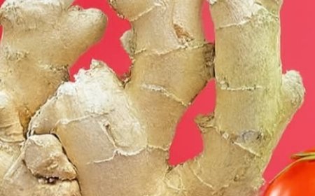 ???????? Natural Energy Tonic (Brand-Safe): Ginger + Tomato — Recipe, Gentle Benefits & Care ????