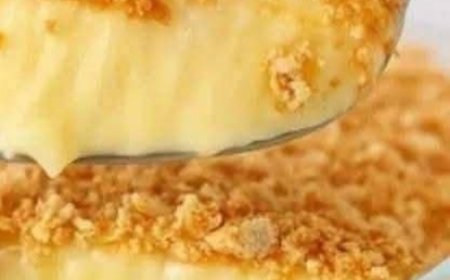 Creamy Layered Delight: The Perfect No-Bake Biscuit Pudding Recipe