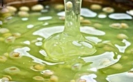 Anti-frizz flaxseed-based hair gel