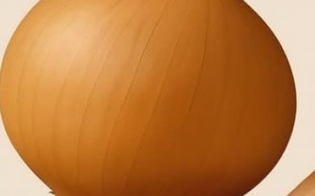 The Common Challenge Many Men Over 50 Face with Prostate and Bladder Comfort