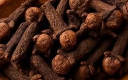 “The Ancient Spice in Your Kitchen: 18 Ways Clove Tea Boosts Health, Metabolism, and Longevity”