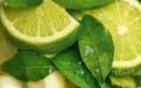 Homemade Natural Remedies: Traditional Drinks and Recipes That Support Your Well-Being