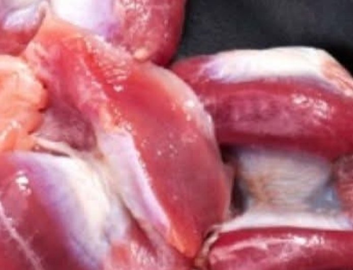 Chicken Gizzards: The Underrated Superfood You’re Missing Out On