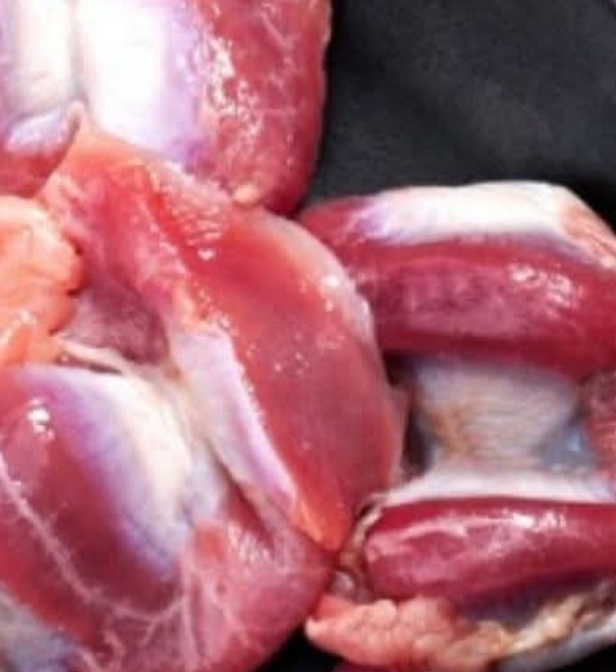 Chicken Gizzards: The Underrated Superfood You’re Missing Out On