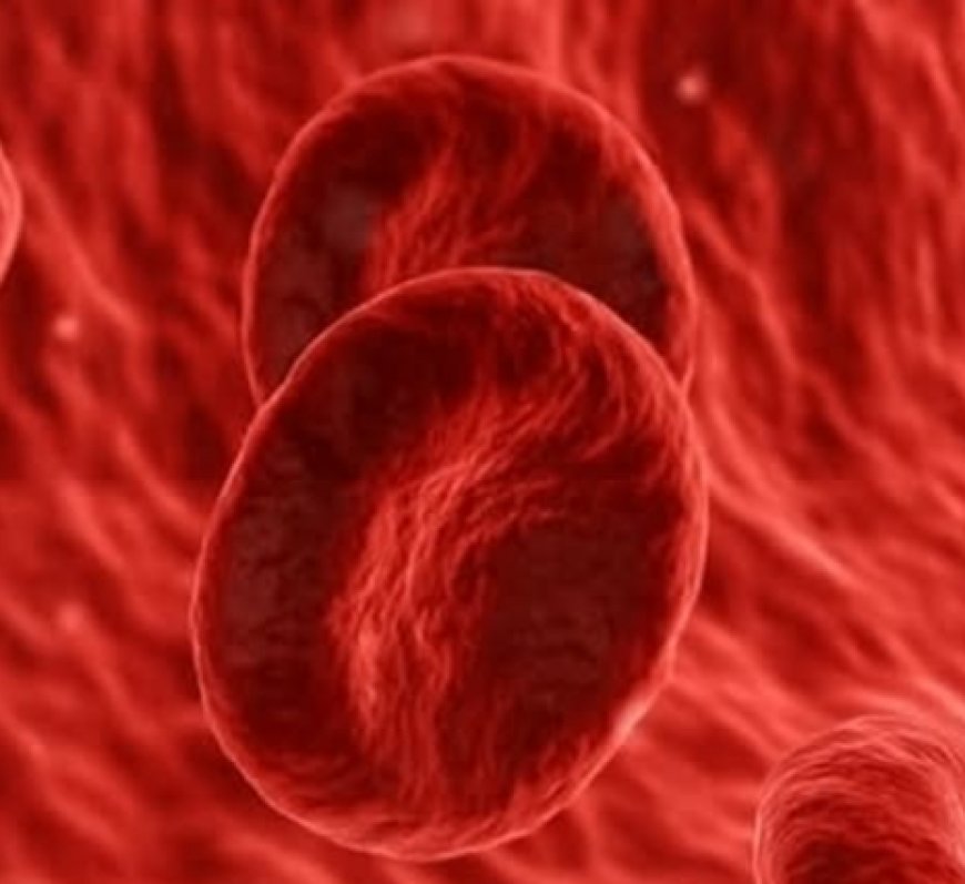 Can Your Blood Type Influence How You Age? Here’s What Science Knows So Far