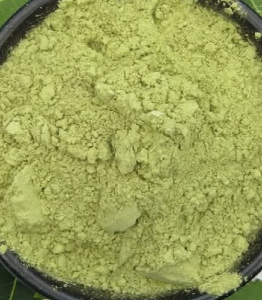 Discover the Leaf That Can Transform Your Health!