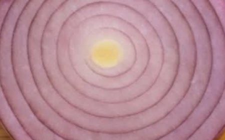 How to Prepare a Homemade Herbal Infusion Using Cinnamon, Cloves, Garlic, Ginger, Lemon, and Onion