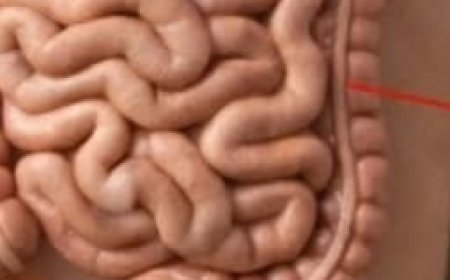 Why Applying Essential Oils to the Bottom of Your Feet Can Enhance Your Evening Relaxation Routine