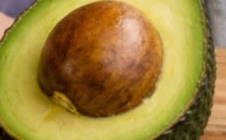 The Overlooked Seed Many People Are Talking About