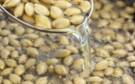 Discover All the Health Benefits of These Powerful Seeds