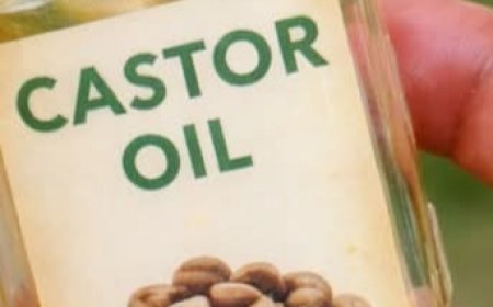 The Power of Foot Massage: Why Applying Oil to Your Soles Can Support Your Whole Body