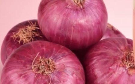 Explore How Onion Might Offer Gentle Nutritional Support for Eye Comfort and Wellness Naturally