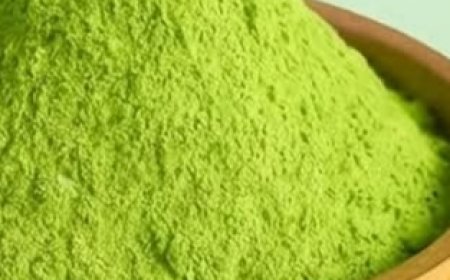 14 Powerful Benefits of Moringa Leaves That Might Surprise You