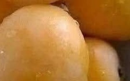 I’ve been trying to remember the name of this fruit my whole life