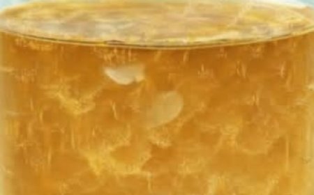 Over 60? Discover 5 Soothing Bedtime Drinks to Support Deeper Sleep for Adults Over 60