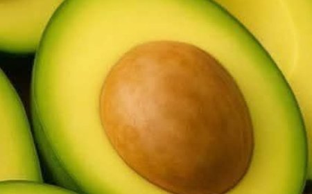 Avocado Seed Benefits: Uses, Properties, and How to Consume It for Better Health