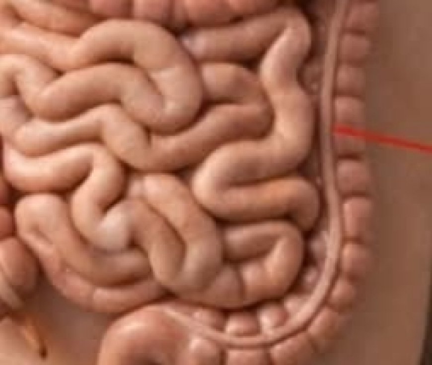 Why Applying Essential Oils to the Bottom of Your Feet Can Enhance Your Evening Relaxation Routine