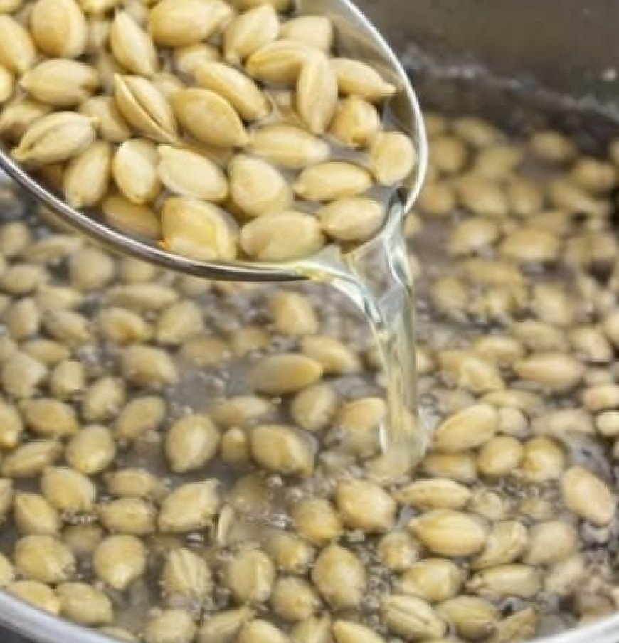 Discover All the Health Benefits of These Powerful Seeds
