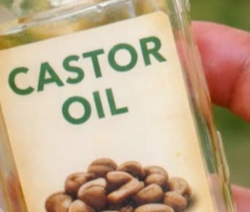 The Power of Foot Massage: Why Applying Oil to Your Soles Can Support Your Whole Body