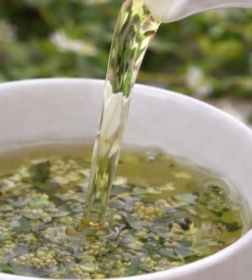 Chickweed (Stellaria media): A Gentle Healing Herb with Powerful Benefits