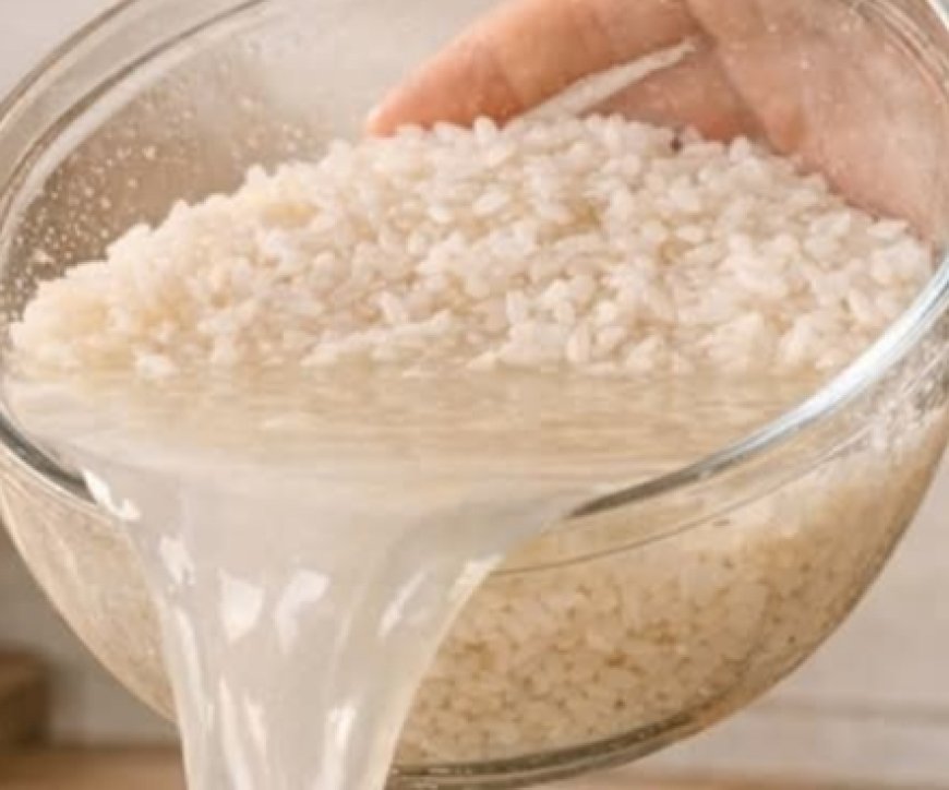 Rice Water Is Like Gold at Home… But Very Few People Know How to Use It