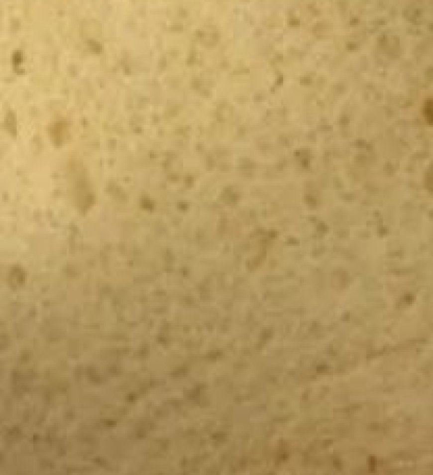 Stale Bread: How to Tell When It’s Safe to Eat and When to Throw It Away — A Must-Know Guide for Home Cooks